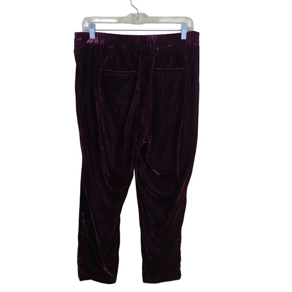 Banana Republic Sour Cherry Velvet Blazer Hayden Pull On Pants Size 2/M - Picture 6 of 15